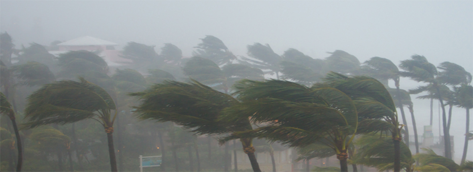 windstorm-texas-insurance